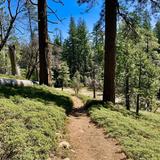 Lava Bluffs Trailhead