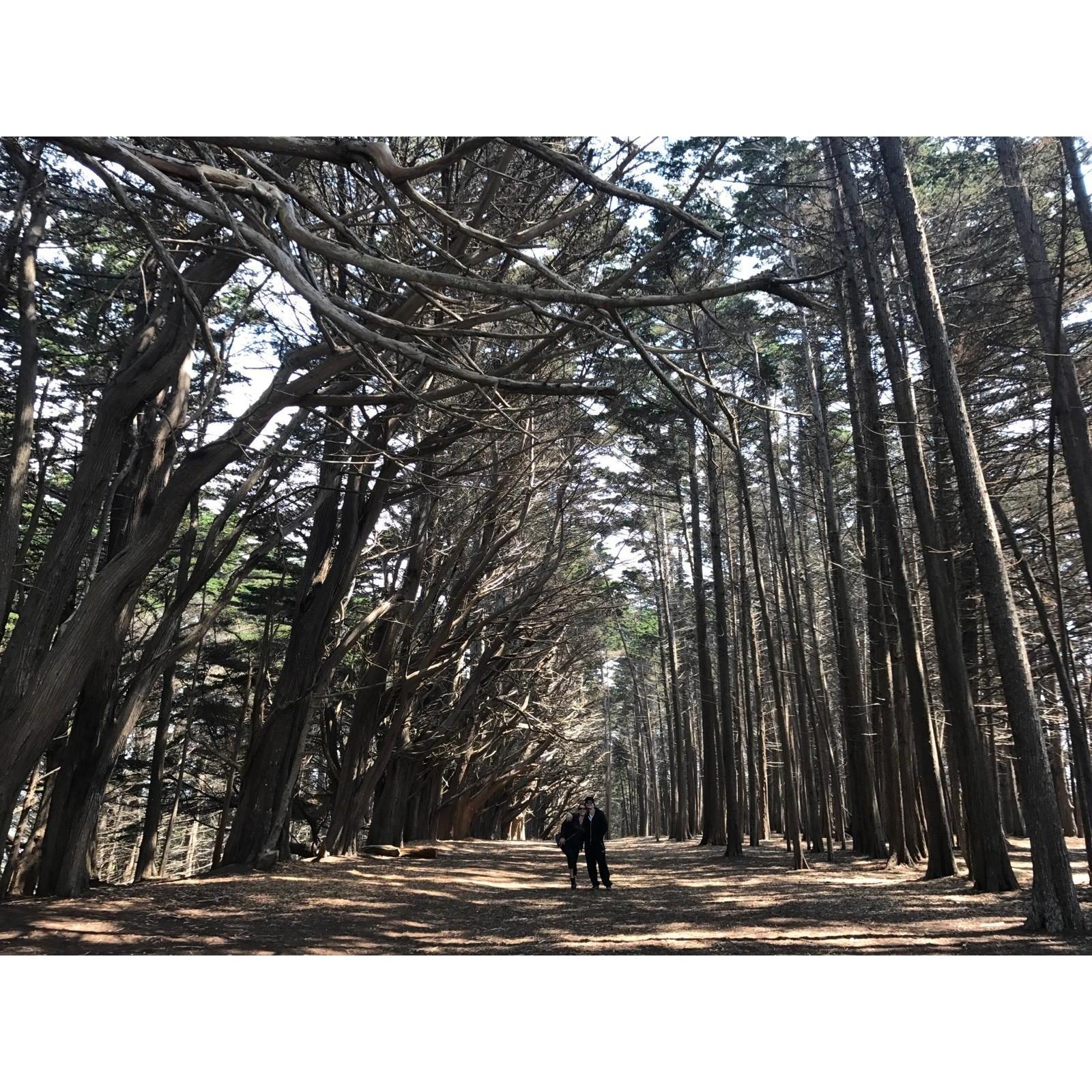 Moss Beach hike