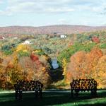 Locust Grove Estate