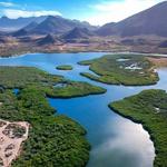 Estero "El soldado"