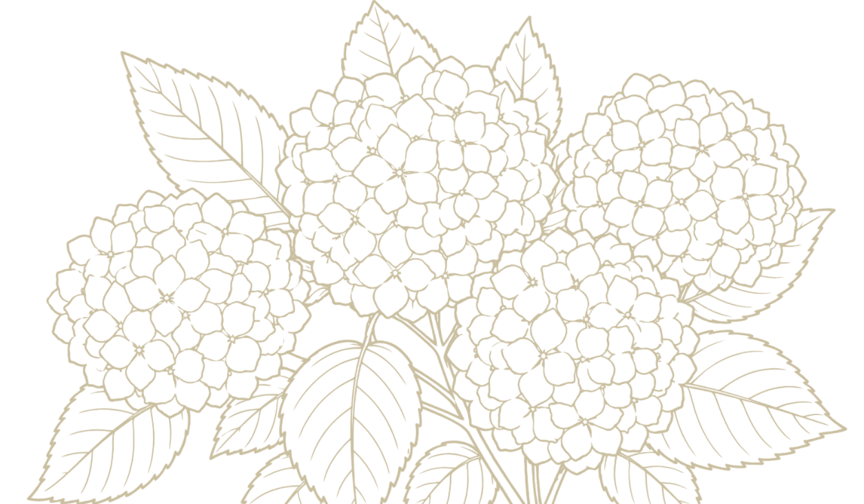 Footer image