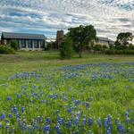 Lady Bird Johnson Wildflower Center