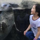 New England Aquarium