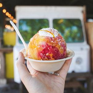 Wishing Well Shaved Ice