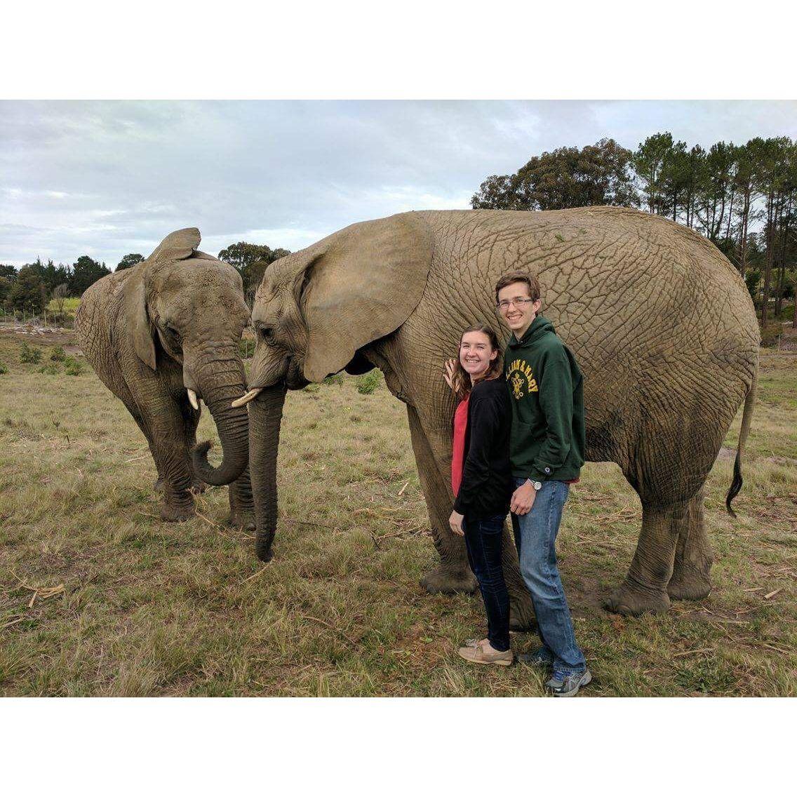 One of the highlights of our South Africa trip was meeting some elephants!