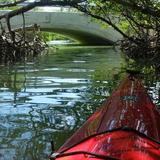 Curry Hammock State Park