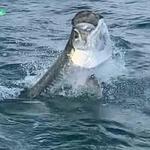 Robbie's of Islamorada