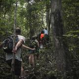 Gros piton hike