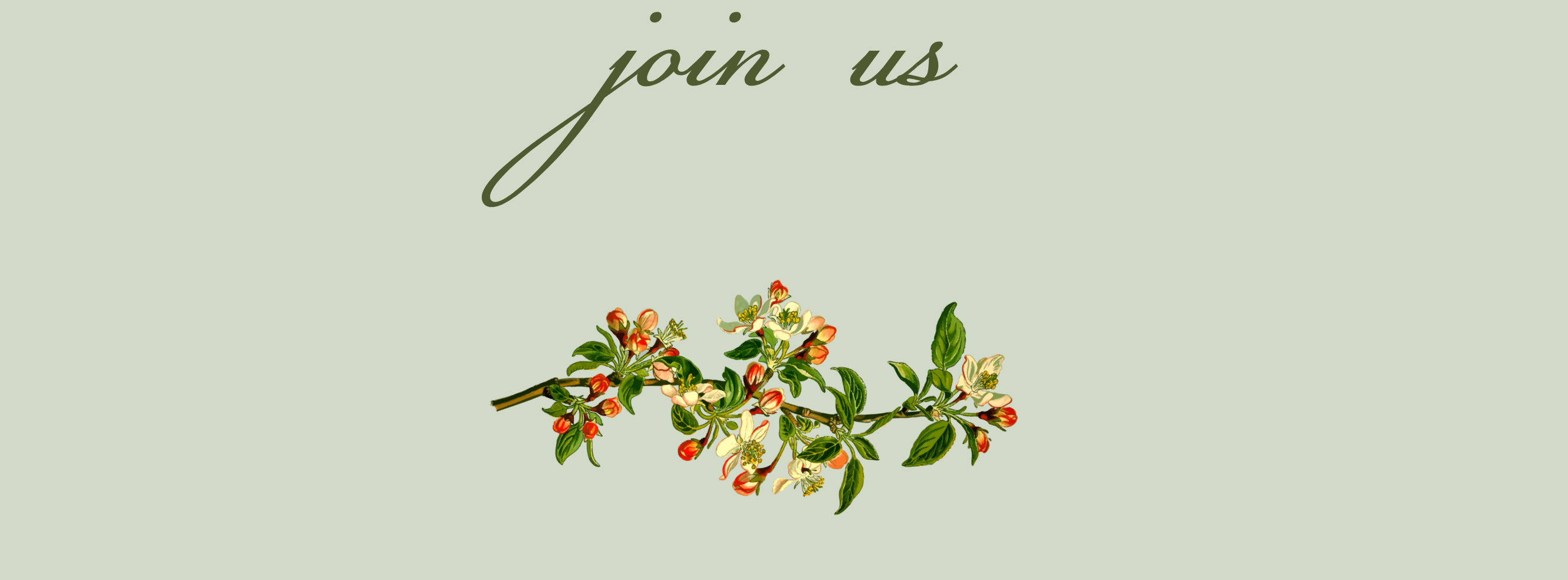 The Wedding Website of Clara Samantha Ann Saliba and Hermione Jane Dowling