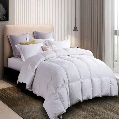 Feather & Down Comforter - Martha Stewart