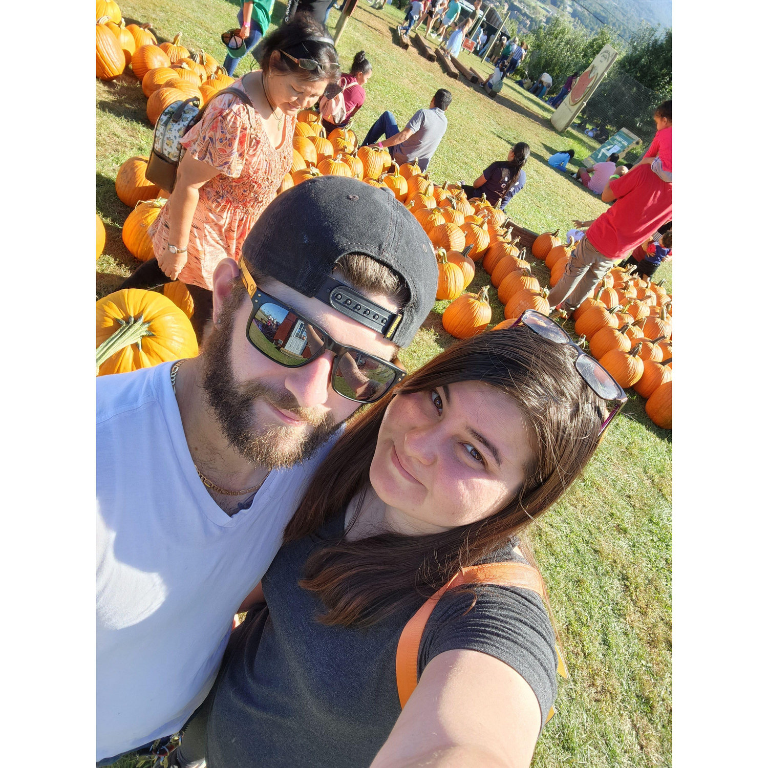 Pumpkin Patch