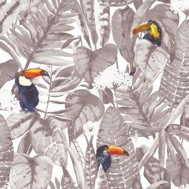 Toucan Wallpaper
