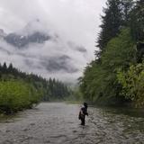 West side fly fishing (Creekside fly shop)
