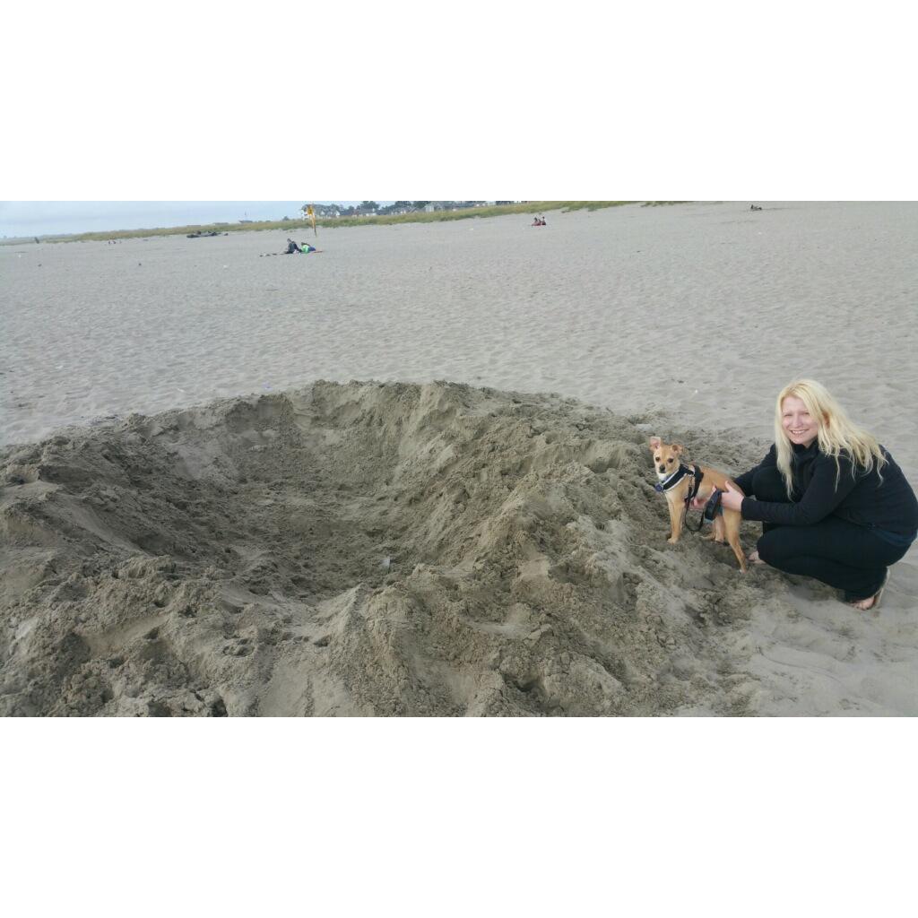 Our first trip to Portland. Dexter our puppy baby loves digging apparently.