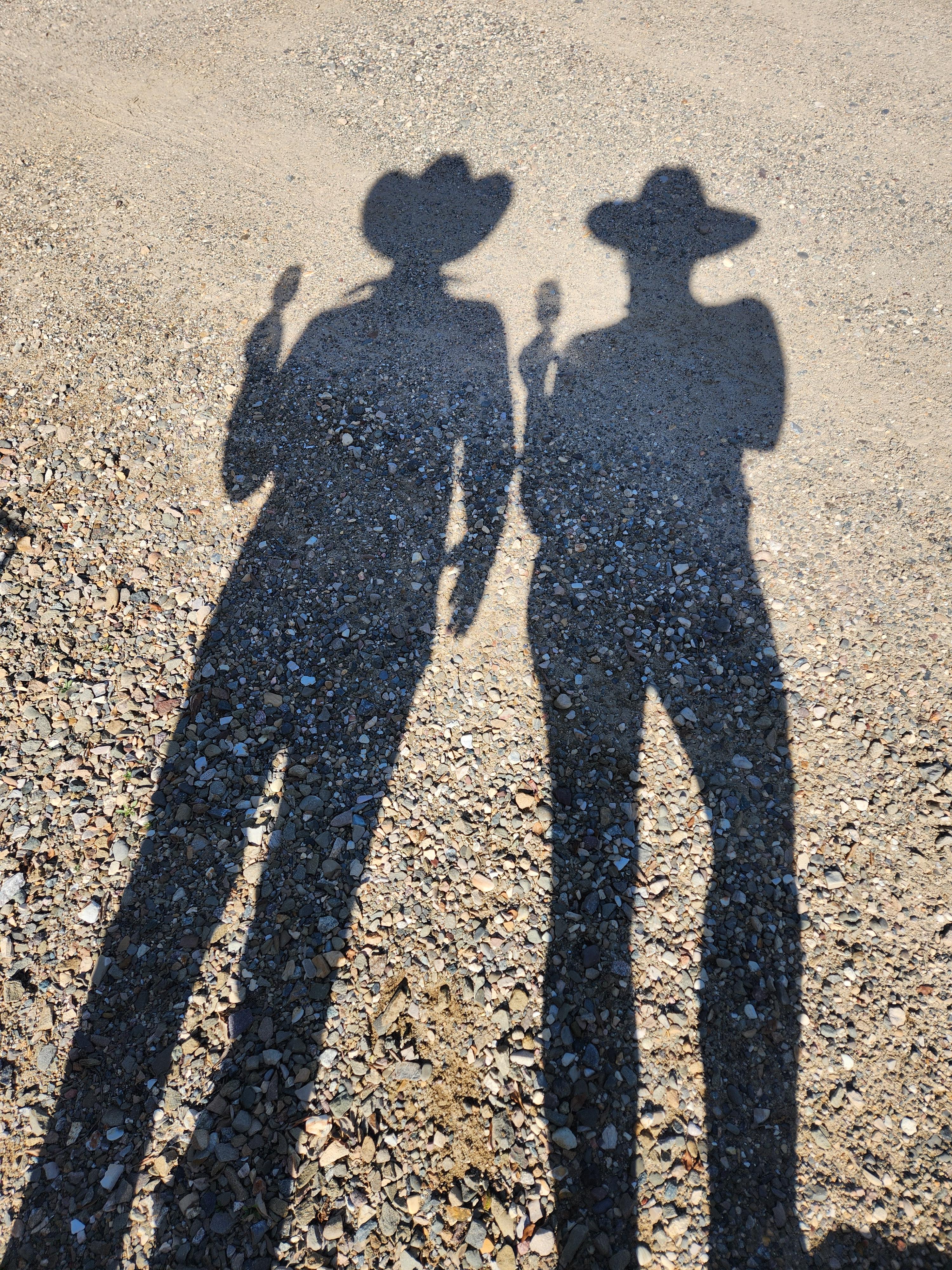 The Wedding Website of Sarah Gregory and Andrew Knapp