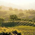 Carmel Valley Wine Trail
