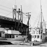 Fishermen's Terminal
