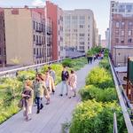 The High Line