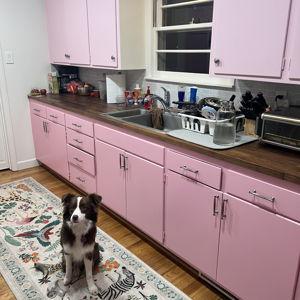 Remodeling Our Kitchen (Credit Card)