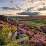 Places Near the Wedding Venue