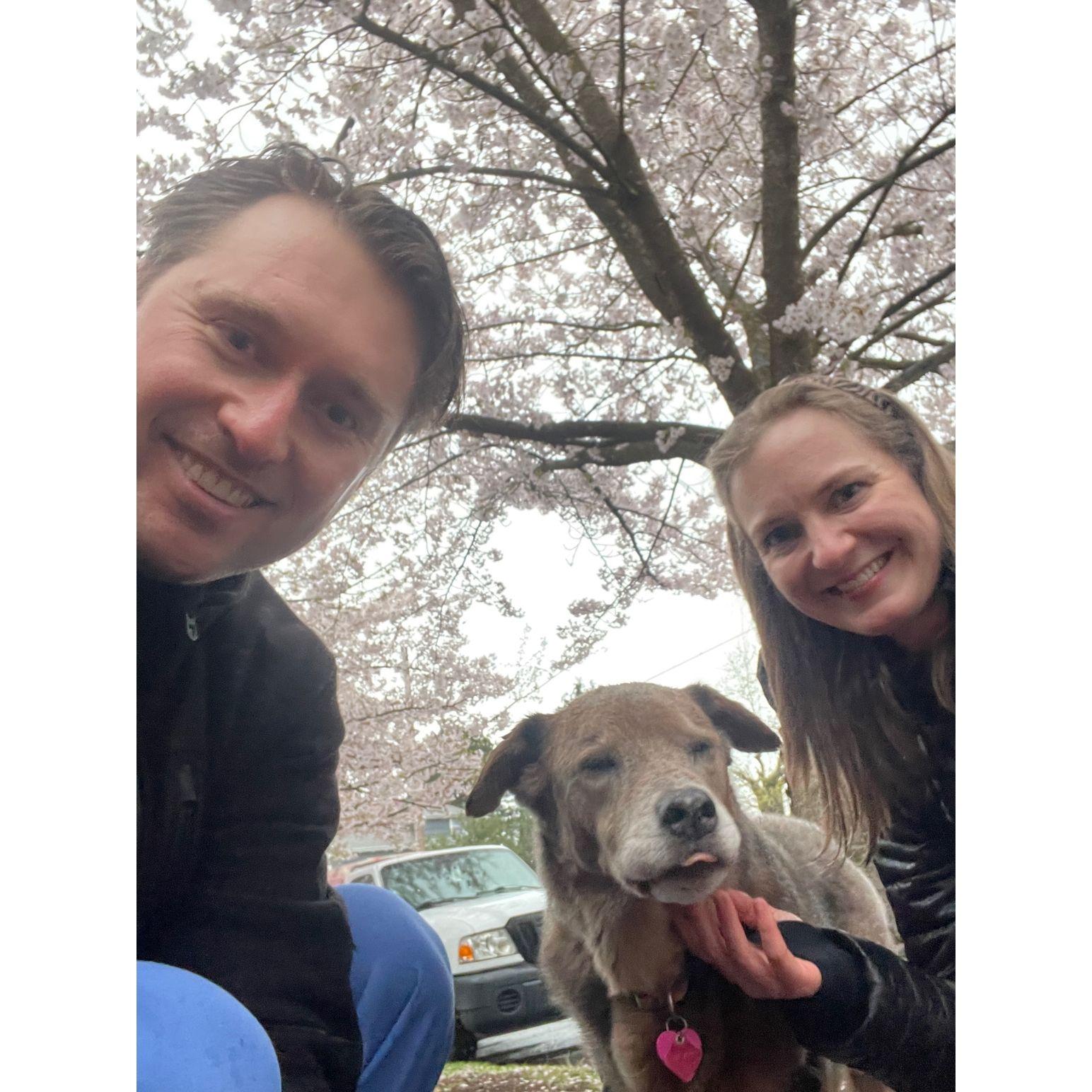 Walking Lucy in the spring
