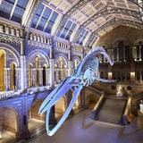 Natural History Museum