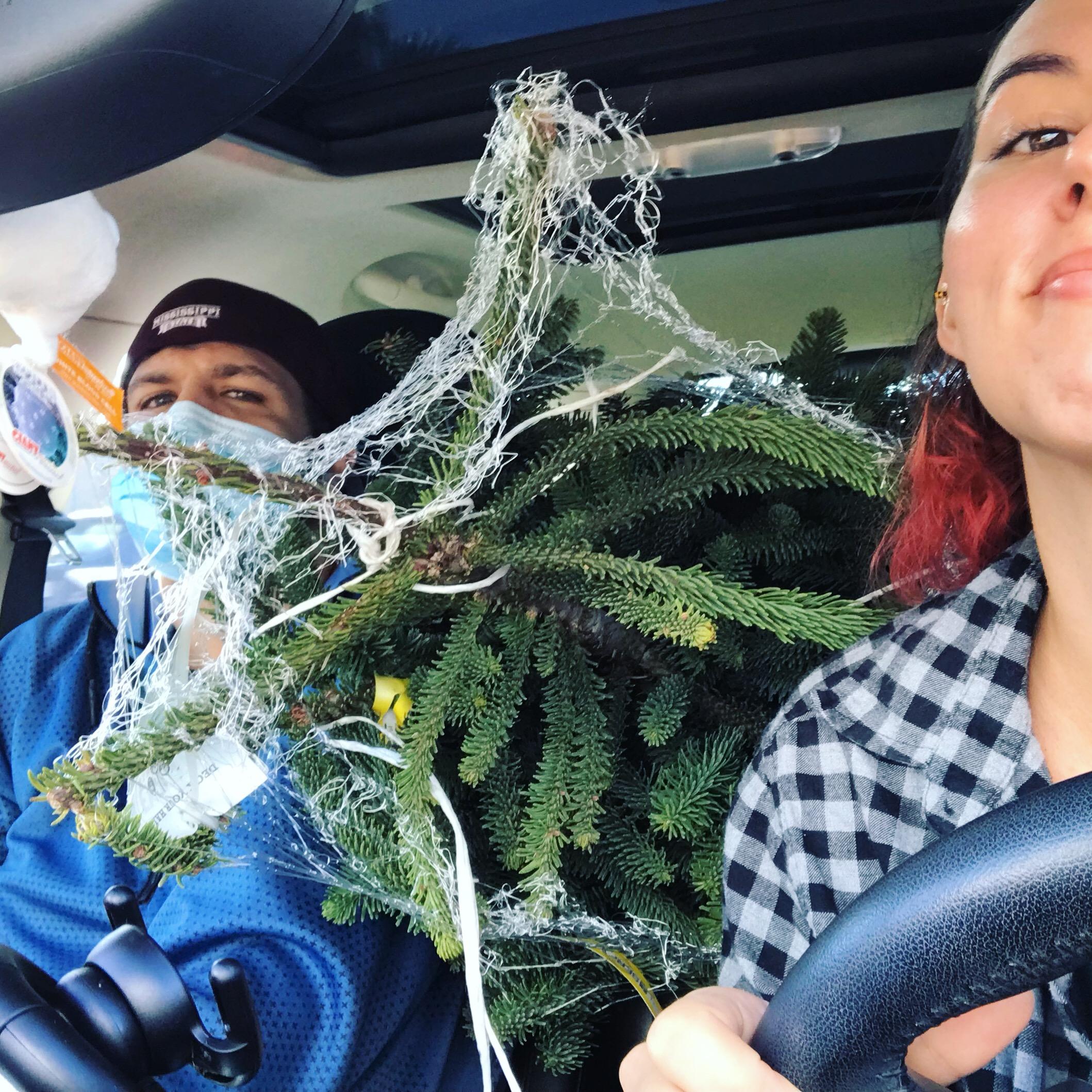 November 2020, taking home our Christmas tree