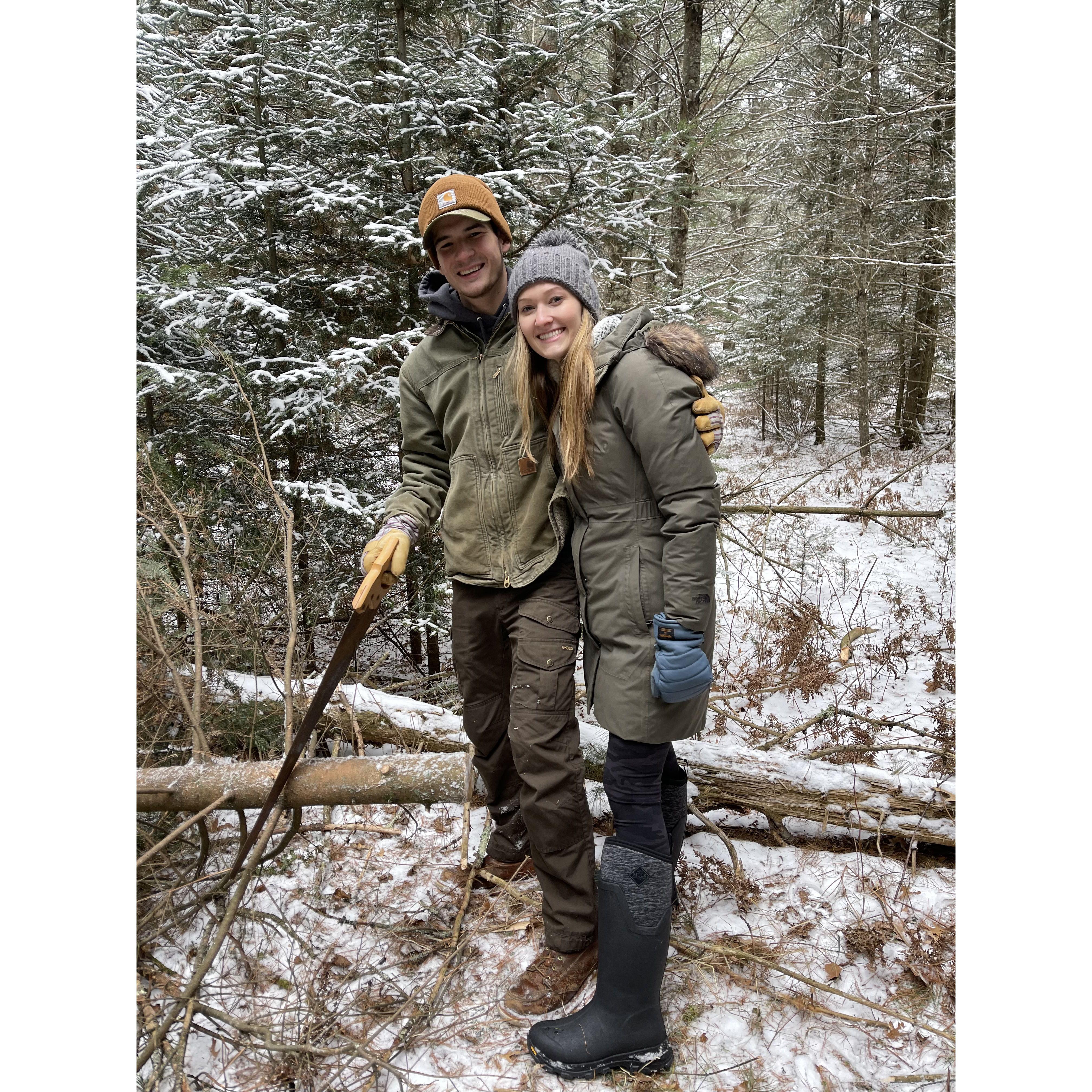 Christmas tree cutting
