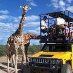 Out of Africa Wildlife Park