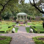 Lynch Park
