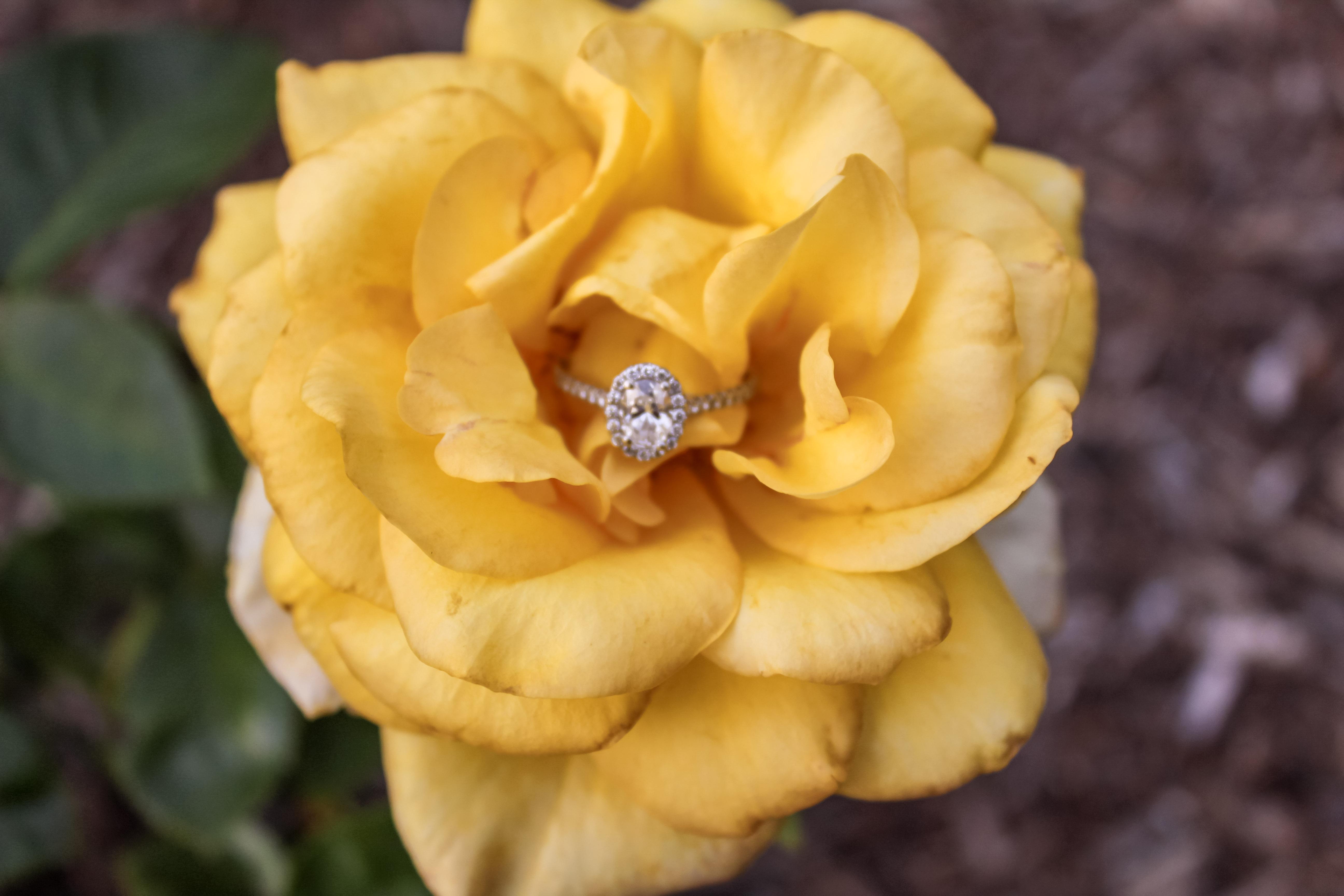 The Wedding Website of Megan Godbey and Brandon Wilson