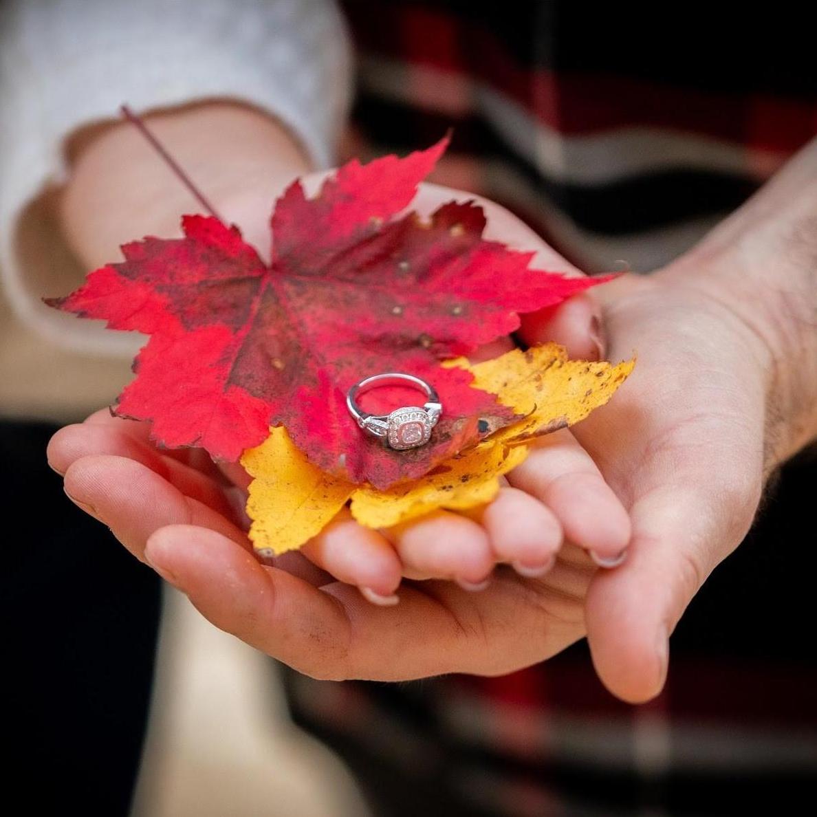 "I'm so glad I live in a world where there are Octobers." - L.M.M., Anne of Green Gables