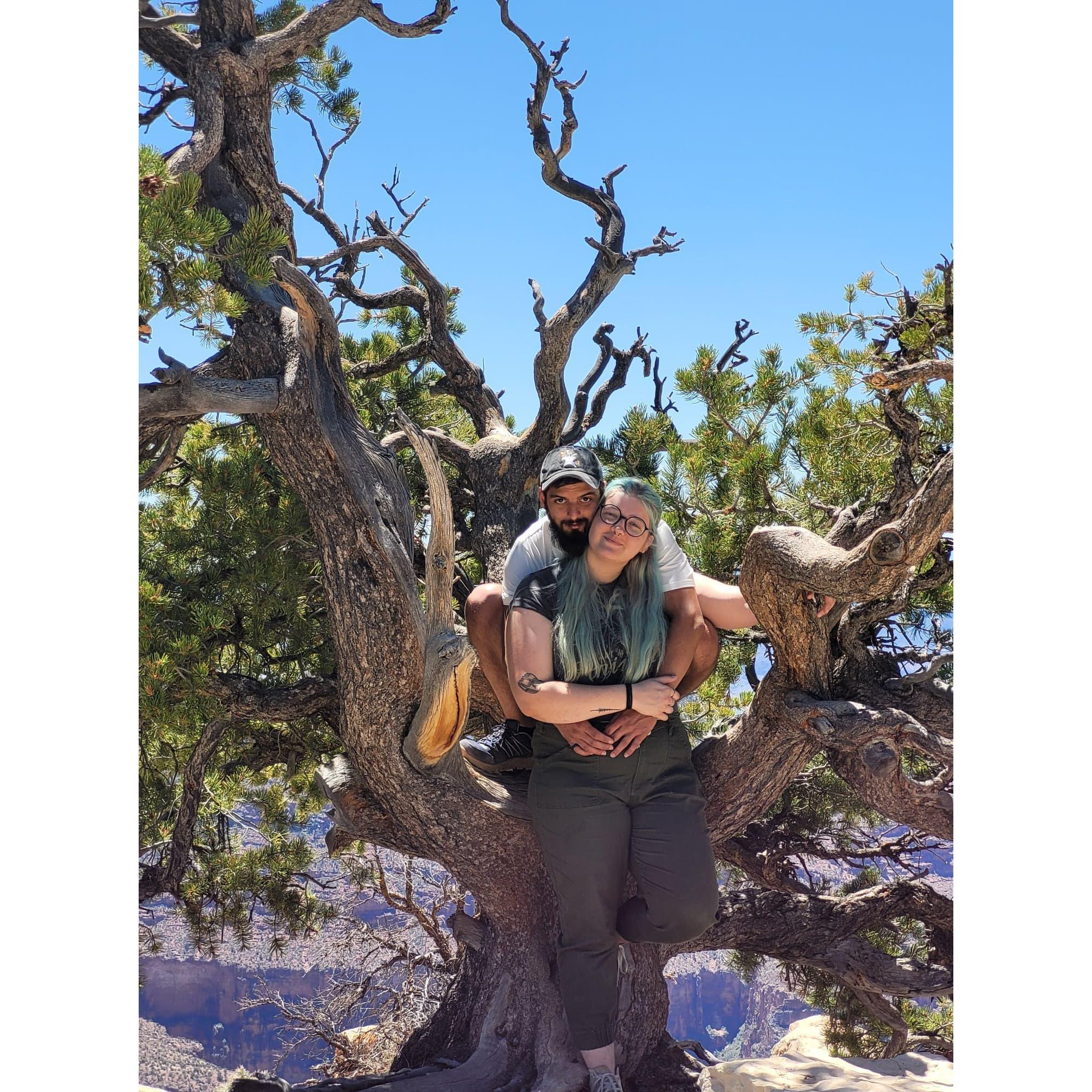 May 25, 2021 | North Rim Grand Canyon National Park