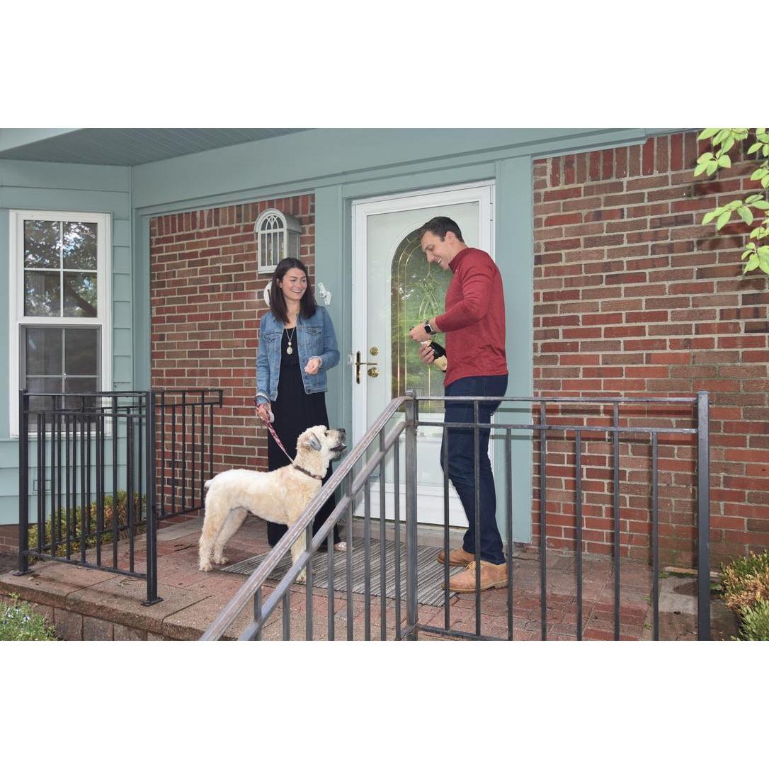 Birmingham MI,  July 2020- We bought a house! Hazel is so proud of her backyard and diligently watches out the front window. Come visit anytime and wave hi to sweet Hazel!