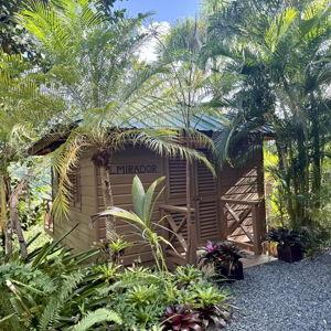 $345 Day 2 Stay in Romantic Rainforest Treehouse