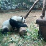 Zoo Atlanta