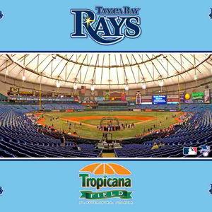 Tampa Bay Rays Tickets