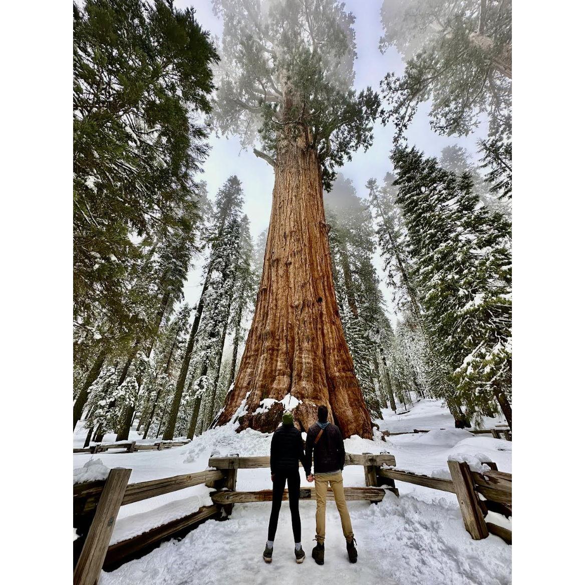 Our first trip together! We went to Sequoia National Park with Jacob's parents.