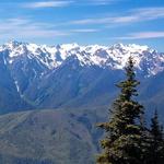 Hurricane Ridge Visitor Center