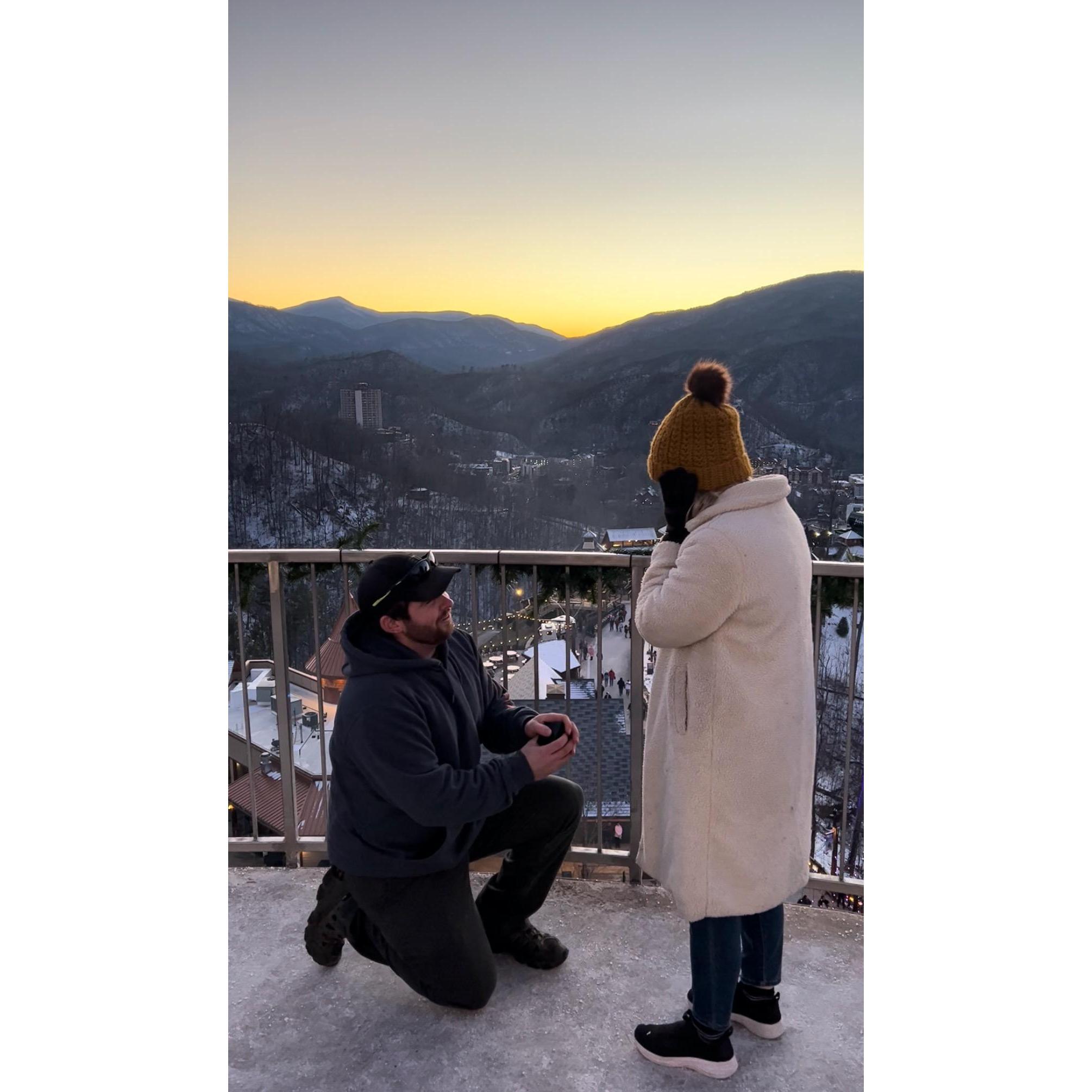 He popped the question... I couldn't have been more surprised..