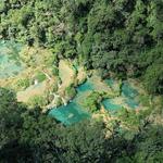 Semuc Champey