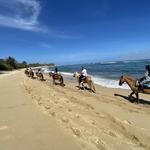 Tropical Trail Rides