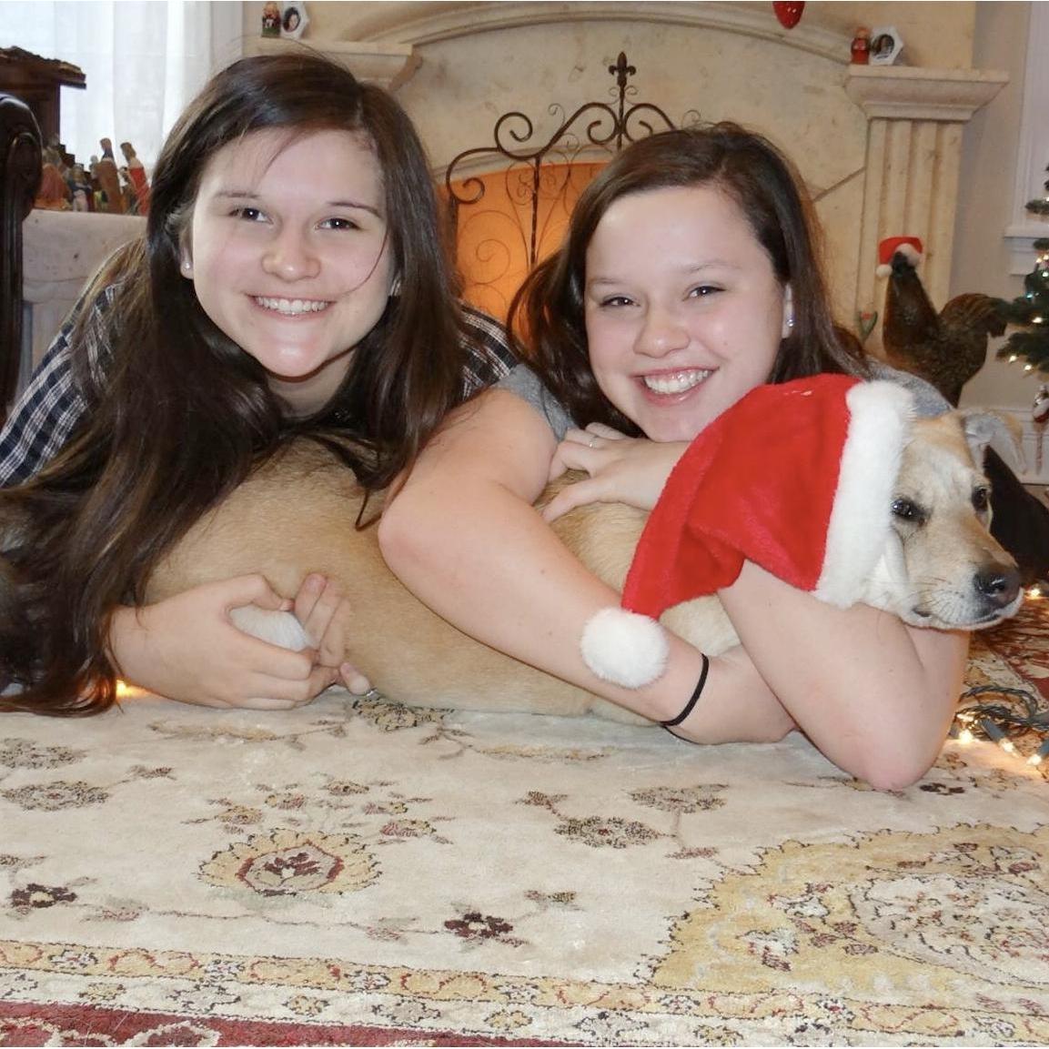 Posing pleasantly for a Christmas card, Michelle and Jenny do their best to calm Chloe into a photogenic pose.