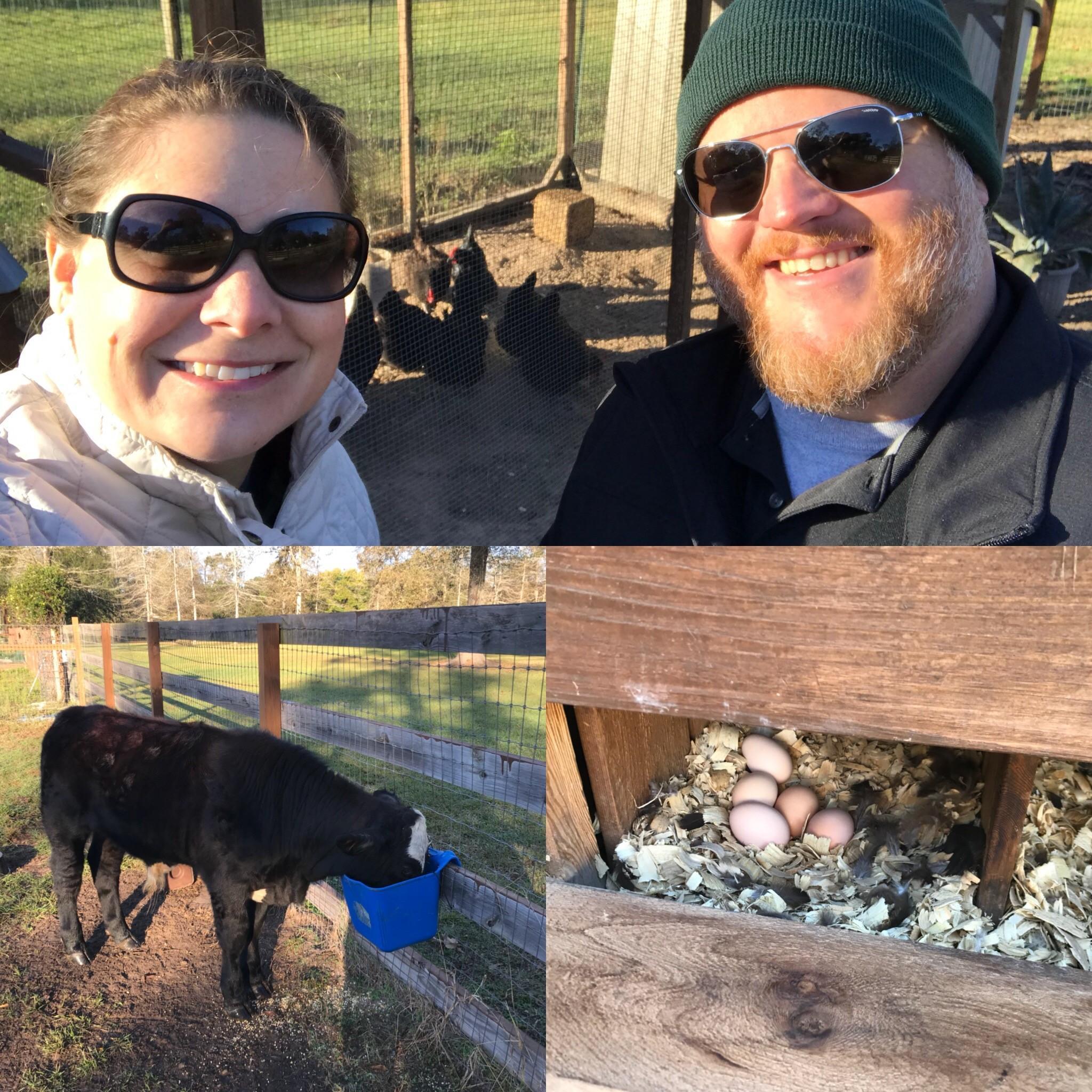 November 2017 - What's better than turkey on Thanksgiving? Going down to the farm to feed the chickens and our cow. Please note that none of these animals are the ones on the menu for the wedding.