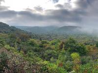 Graveyard Fields Loop Trail