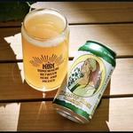 Mesquite Creek Outfitters Del Rio