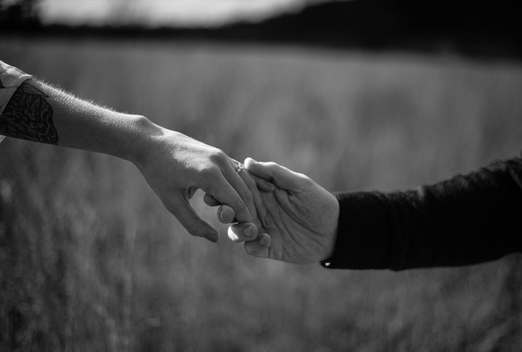 The Wedding Website of Sophia Van Horn and Jon Scalfano