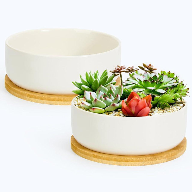 ZOUTOG Plant Pot 6 Inch,Ceramic Succulent Pots for Flower with Drainage and Tray,Succulent Planters for Indoor Plants White Round with Home,Office,Pack of 2