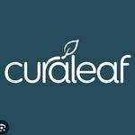 Curaleaf Gilbert