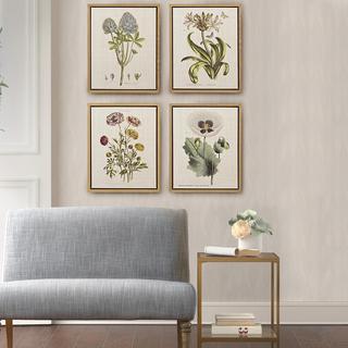 Herbal Botany Framed Canvas, Set of 4